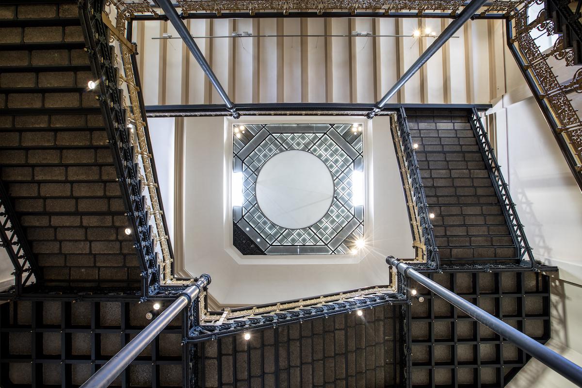 Join our Museum Evolution! Museum für Naturkunde